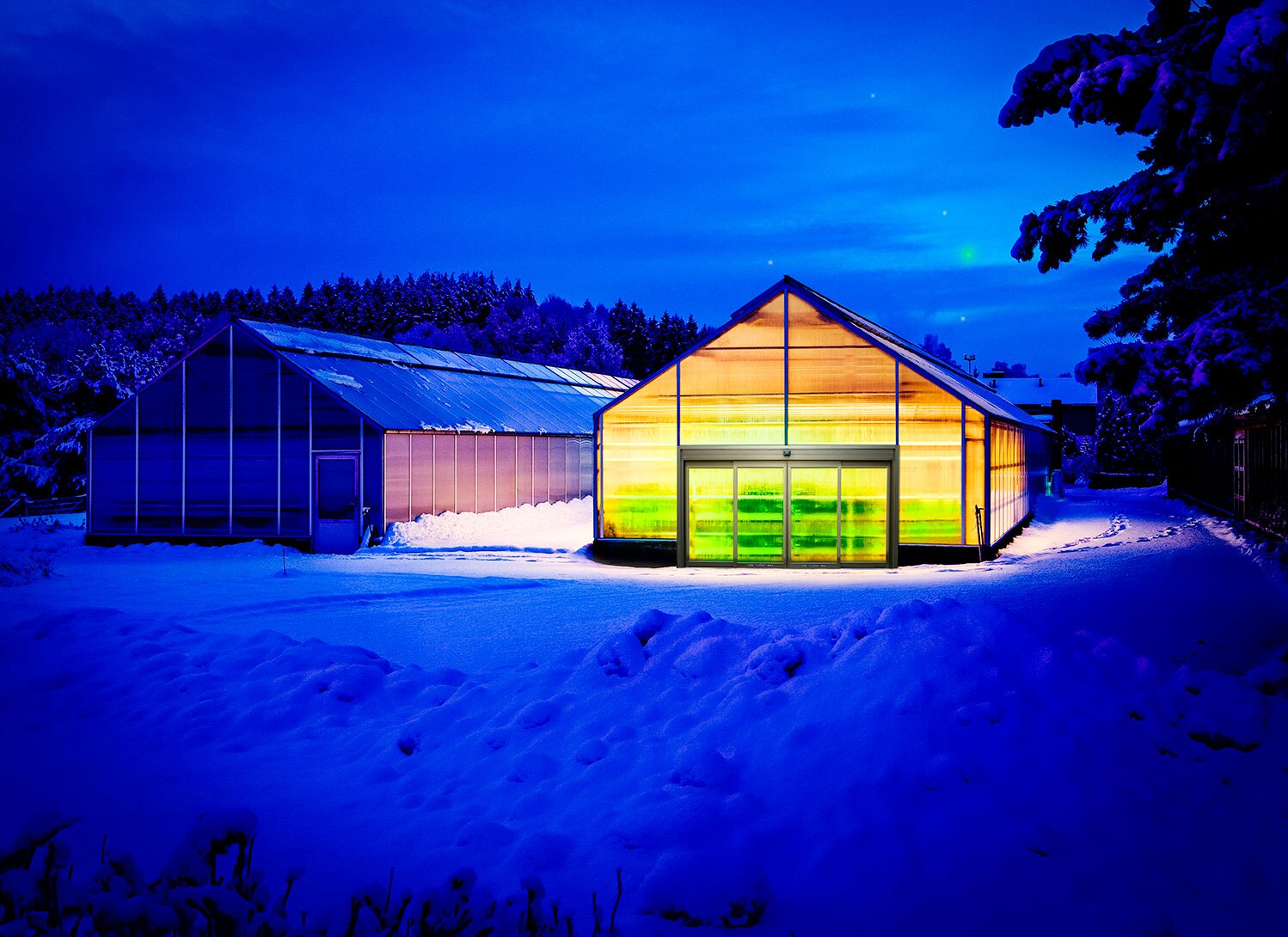 A set of doors on a greenhouse in the snow.