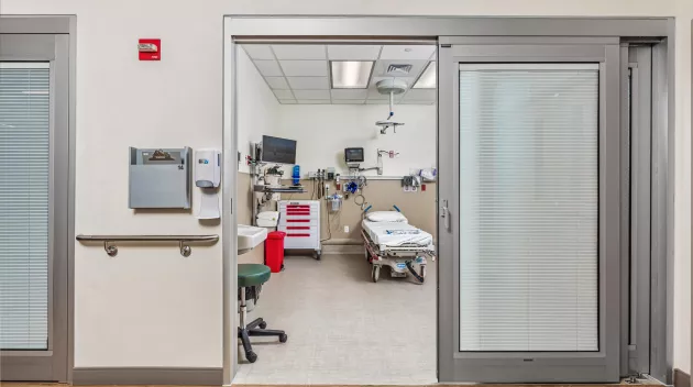 DuraCare 7500 3 panel ICU Door. Photo Credit: MKM Build Photography www.mkmbuild.com.jpg